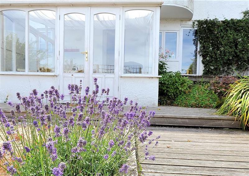 This is the garden at Bay View, Lyme Regis