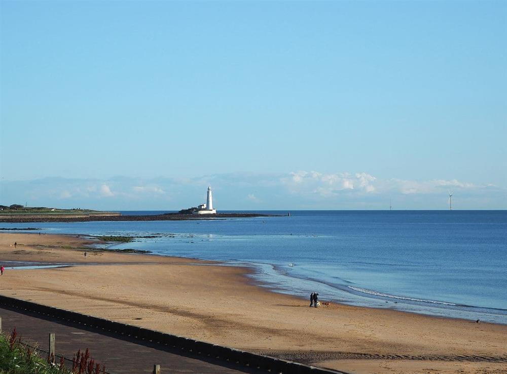 Wonderful view accross the bay towards St Mary’s lighthouse