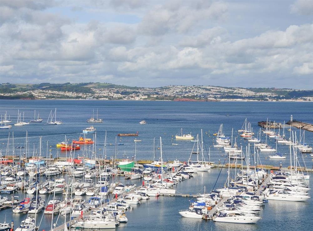The bustling marina in the heart of Brixham