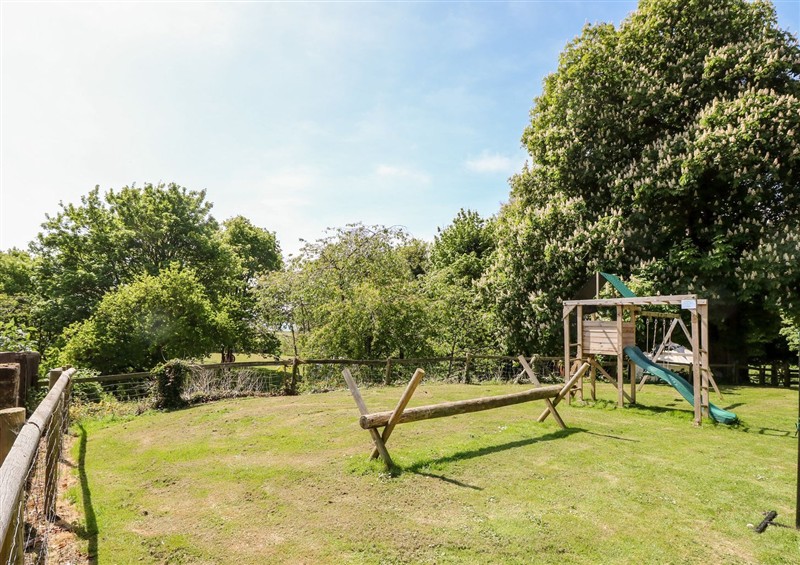 This is the garden at Beachcombers, near Ventnor