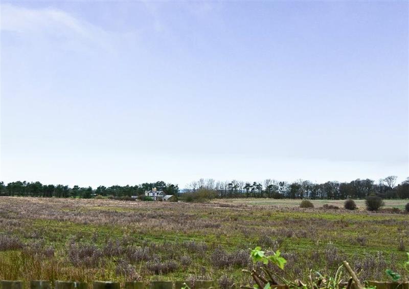 Rural landscape at Beachside, Low Hauxley