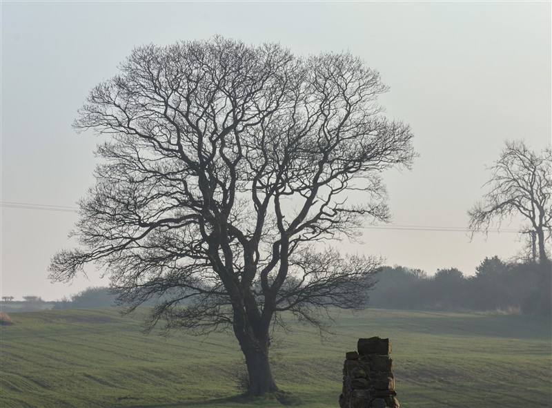 The area around Beacon House