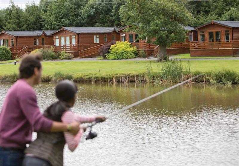 Fishing at Beaconsfield Park in Shropshire, Heart of England