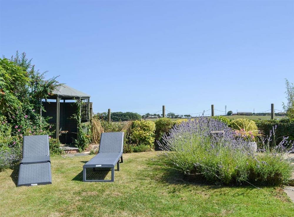 Sitting-out-area at Beam Cottage in Flamborough, North Humberside