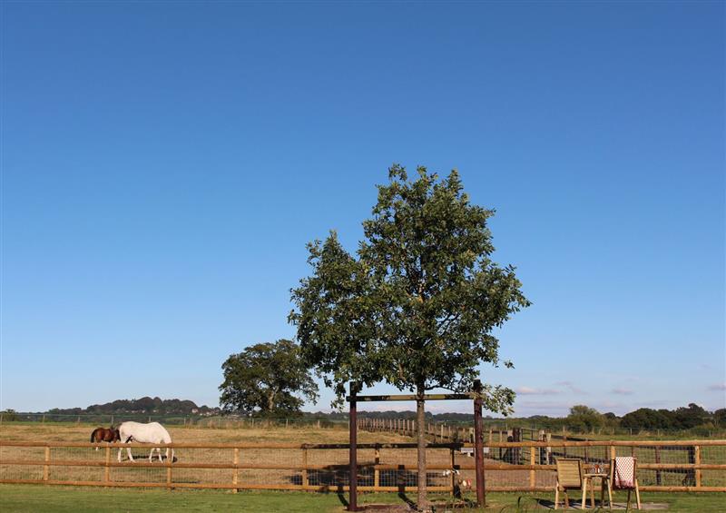 The area around Bears Den at Bears Den, Stour Row near East Stour