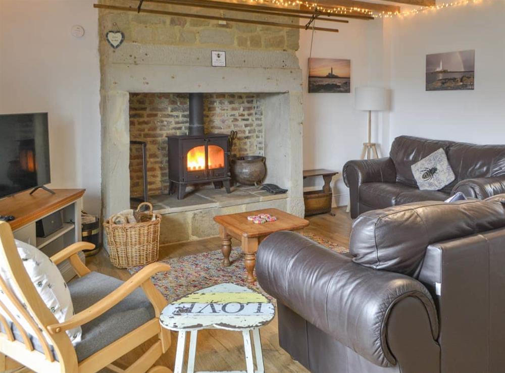 Living room at Beas Cottage in Cresswell, near Morpeth, Northumberland
