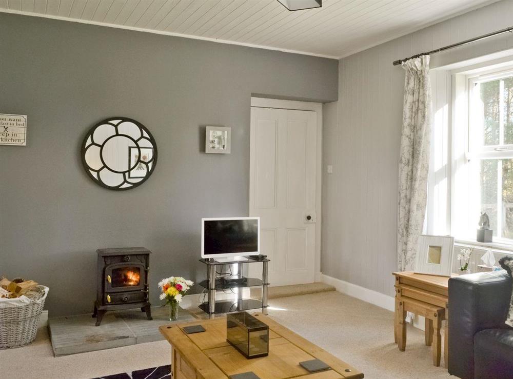 Attractive lounge with contemporary décor and wood-burning stove at The Retreat, 