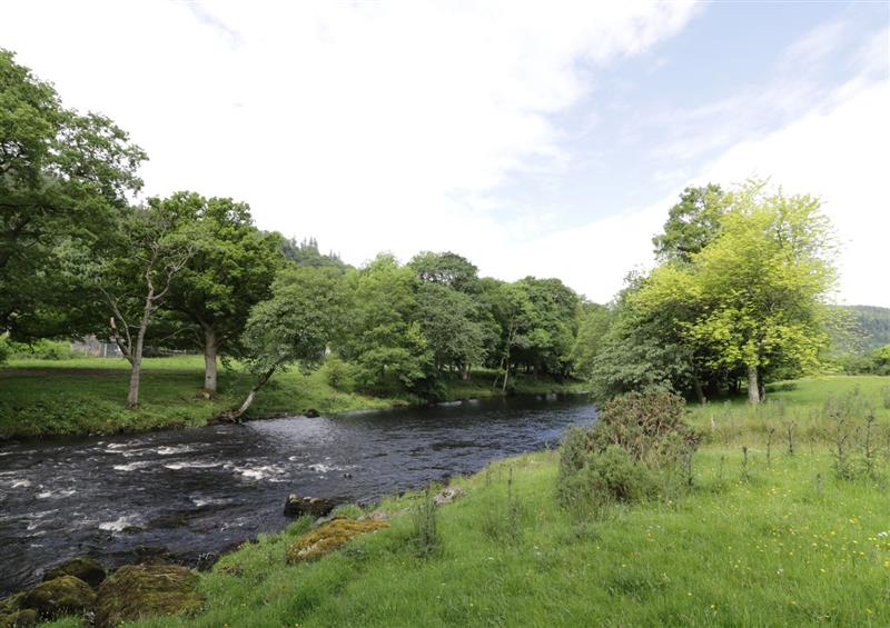 The area around Beaver Grove Cottage