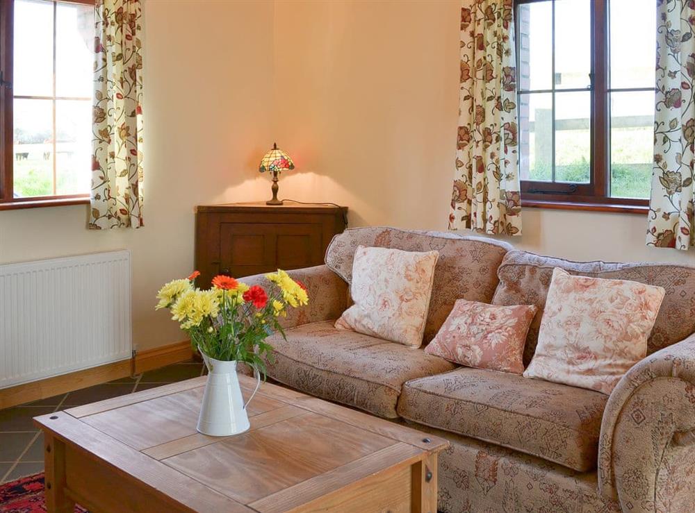 Cosy and welcoming living room at Beckaveans Stable, 