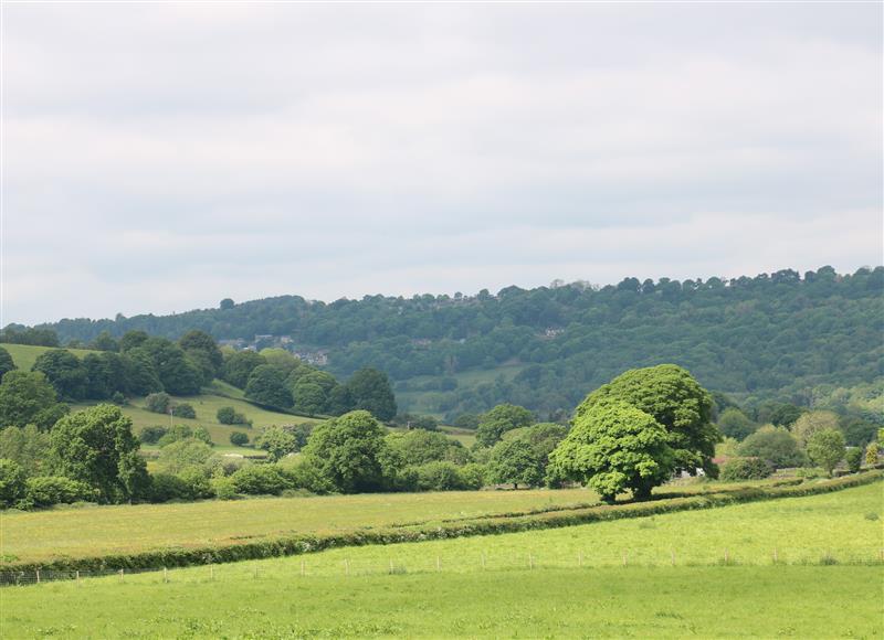 The setting of Beech Cottage - Fold Yards