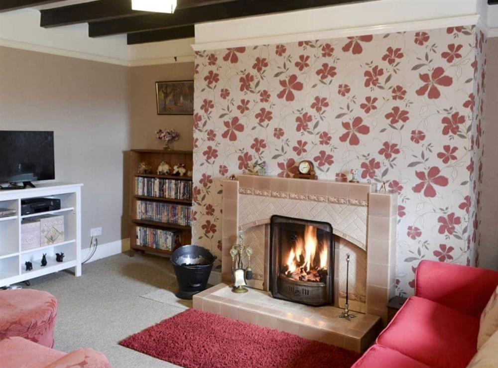 Cosy living room with open fire at Beech Cottage in Hepple, Northumberland