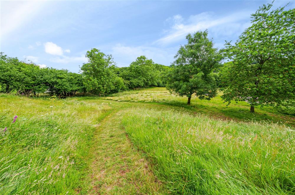 Enjoy the glorious countryside all around the area at Beech Cottage, Honiton