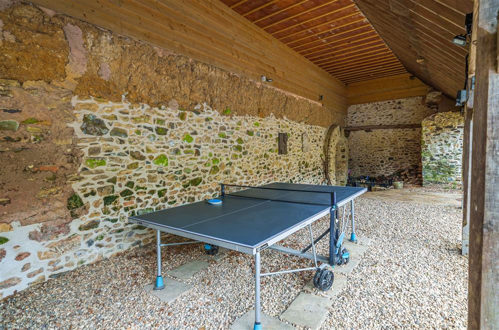 You are invited to play table tennis during your break at Beech Cottage, Honiton