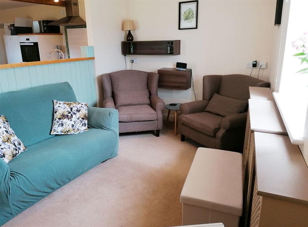 Living area (photo 2) at Beech Cottage in Llanrhaeadr, near Denbigh, Denbighshire