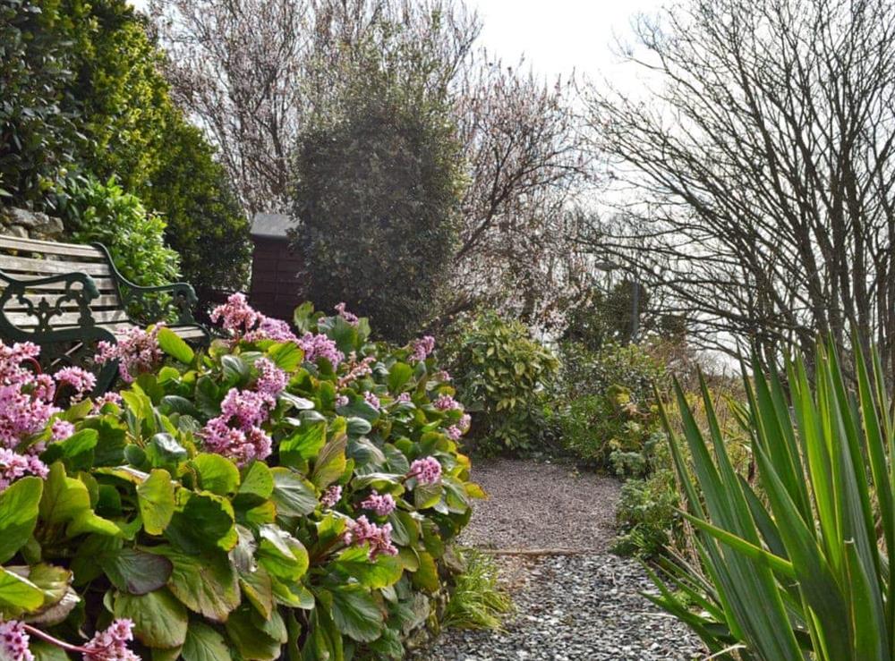 Garden at Beech Cottage in St Lawrence, near Ventnor, Isle of Wight
