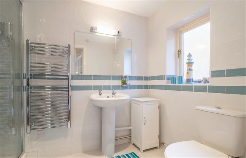 Shower room with large shower cubicle, wash basin and WC at Beech Cottage, Westleton