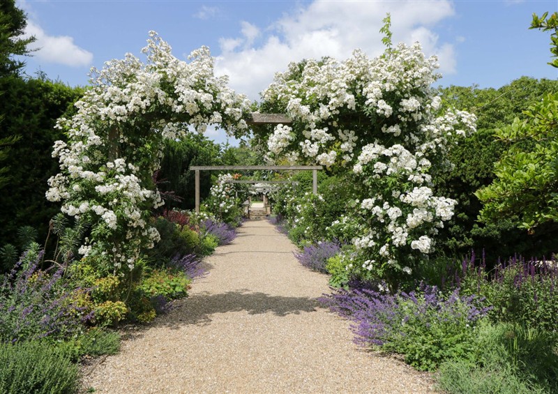 Outside at Beech, Elcot near Kintbury