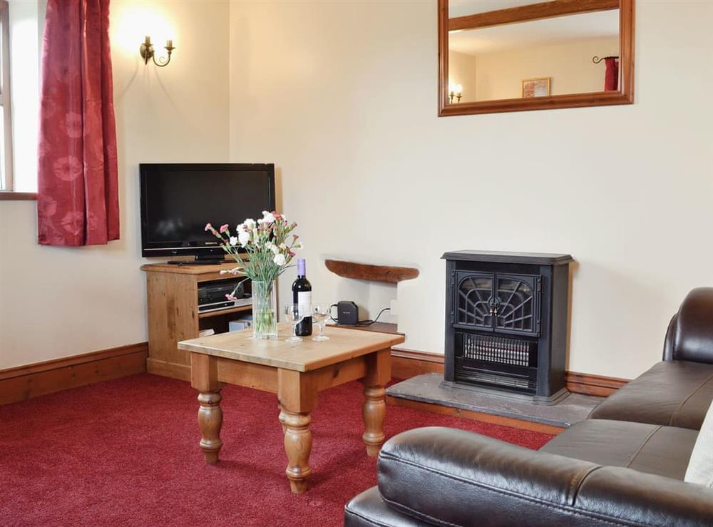 Living room at Beech Lodge in Bideford, Devon