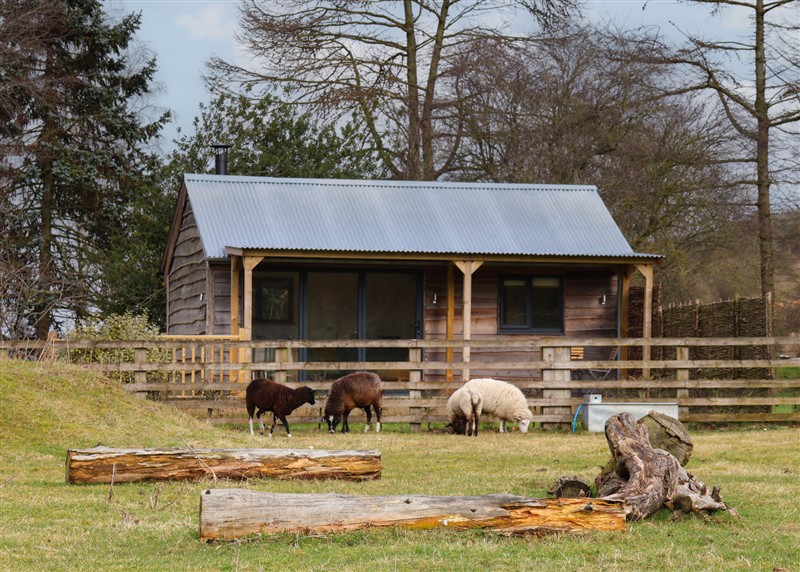 Outside Beech Tree Cabin