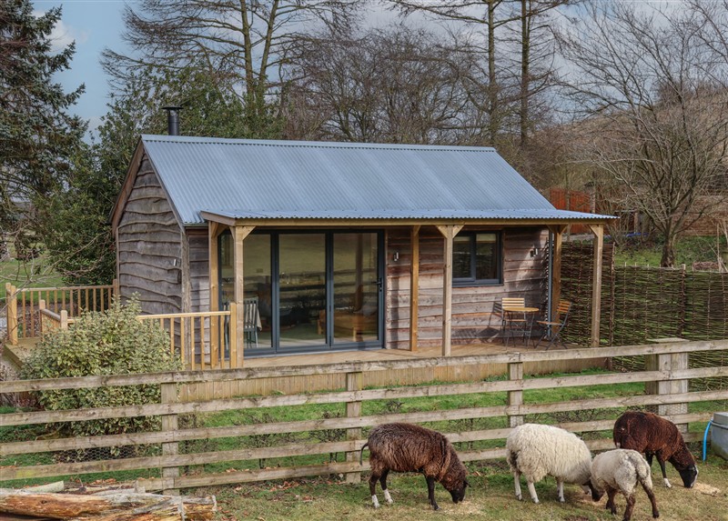 Outside Beech Tree Cabin