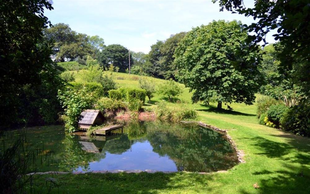 Another view of the duck pond and gardens. at Beeches in Slapton