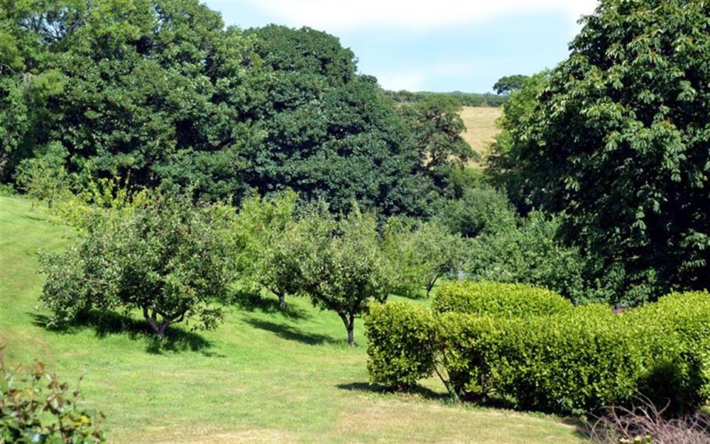 View from the double bedroom over the orchard. at Beeches in Slapton