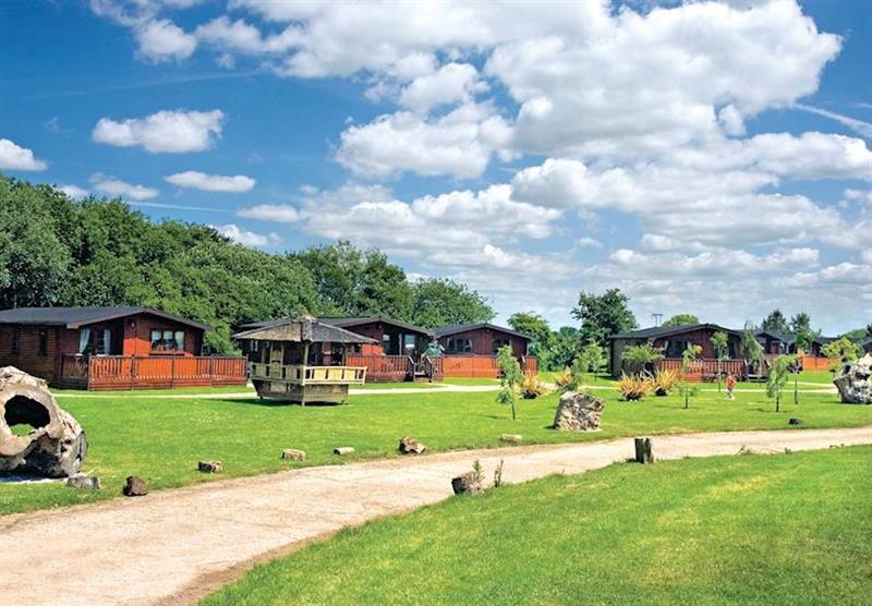 Lodge setting at Beechwood Park in Derbyshire, Heart of England