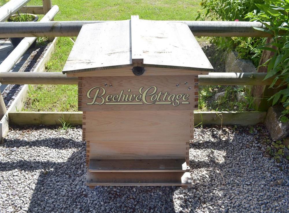 Beehive at Beehive Cottage in Denbigh, Denbighshire