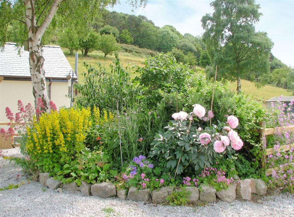 Garden (photo 2) at Beehive Cottage in Denbigh, Denbighshire