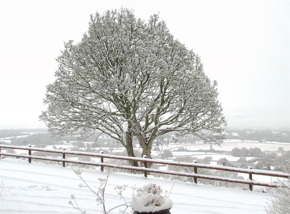View in Winter at Beehive Cottage in Denbigh, Denbighshire