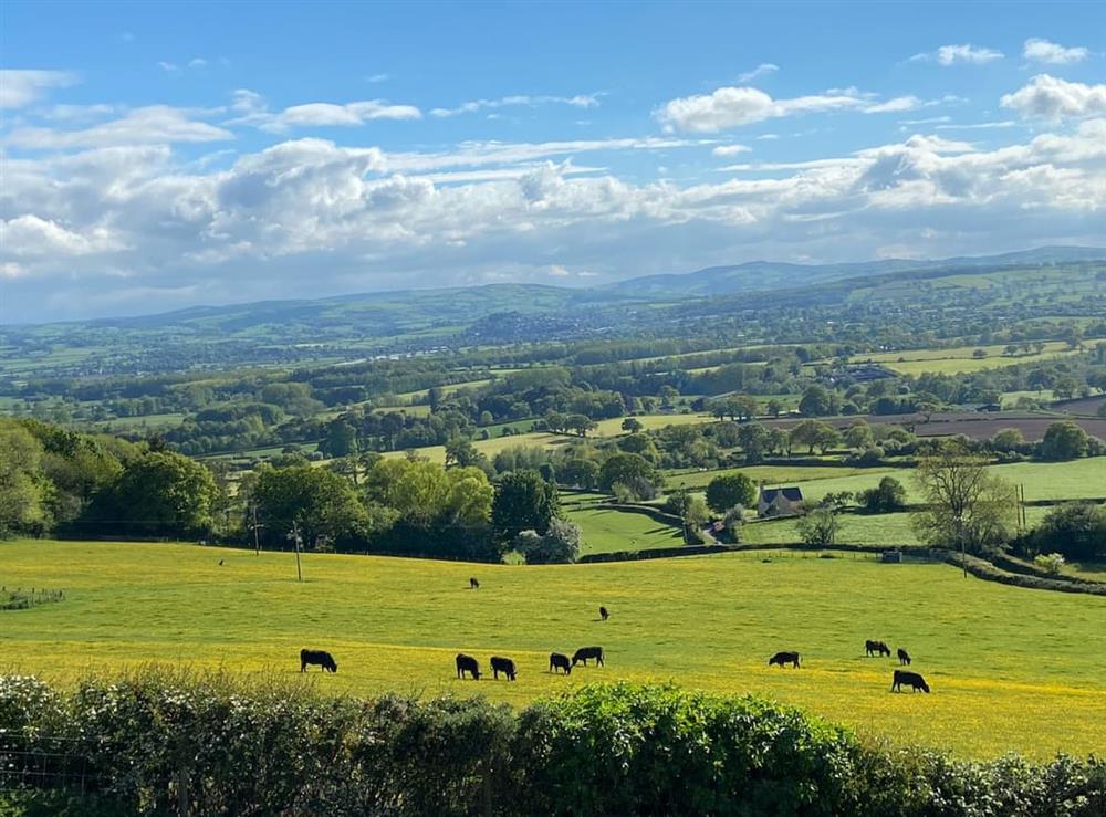 View over the Clwydion valley from Beehive cottage at Beehive Cottage in Denbigh, Denbighshire