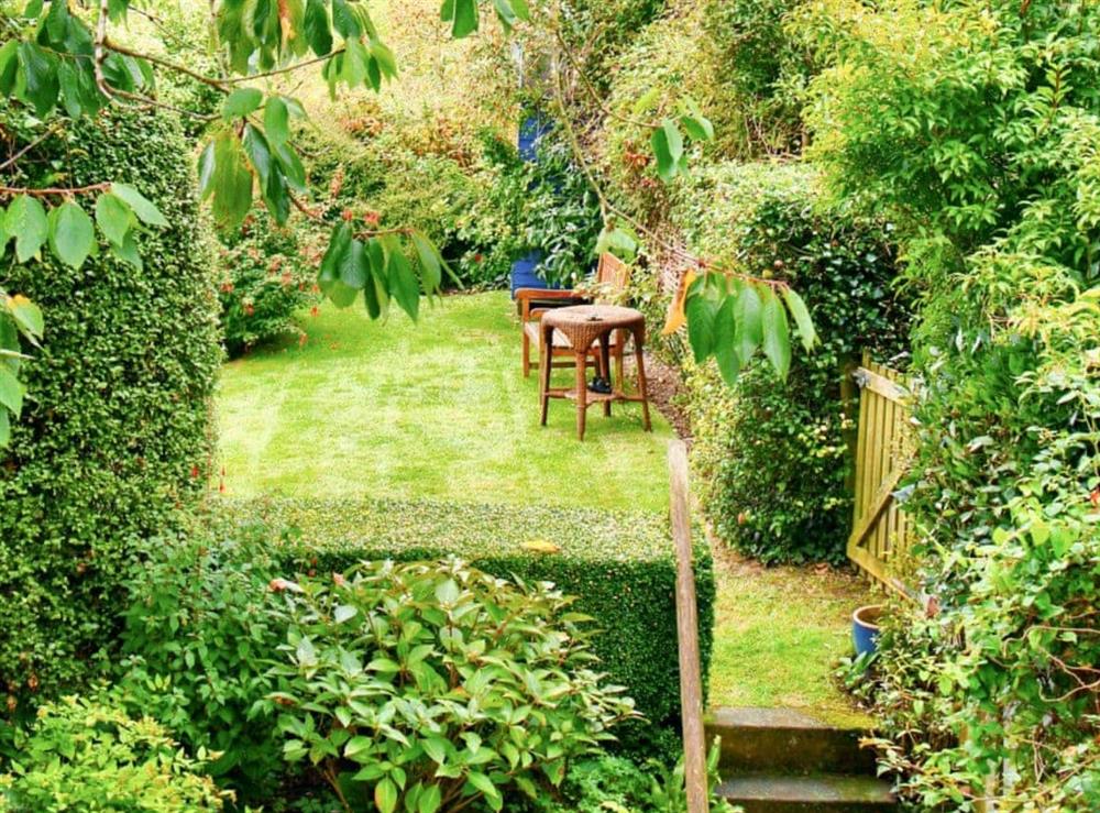 Garden at Beehive Cottage in St Breock, near Wadebridge, Cornwall