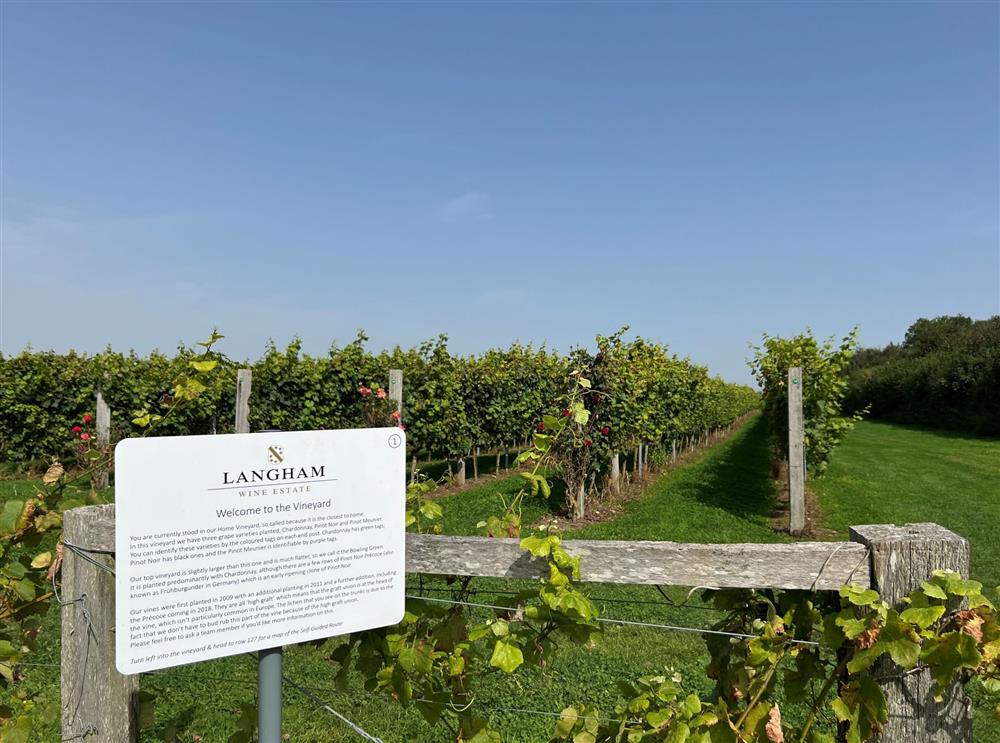The Langham Wine Estate, close by to Beehive  at Beehive, Dorchester