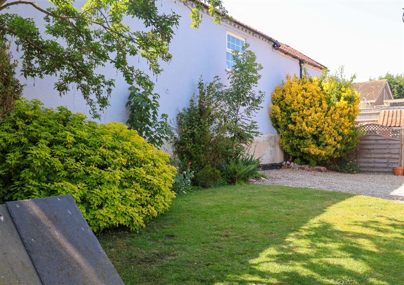 This is the garden at Beehive, Gillingham near Beccles
