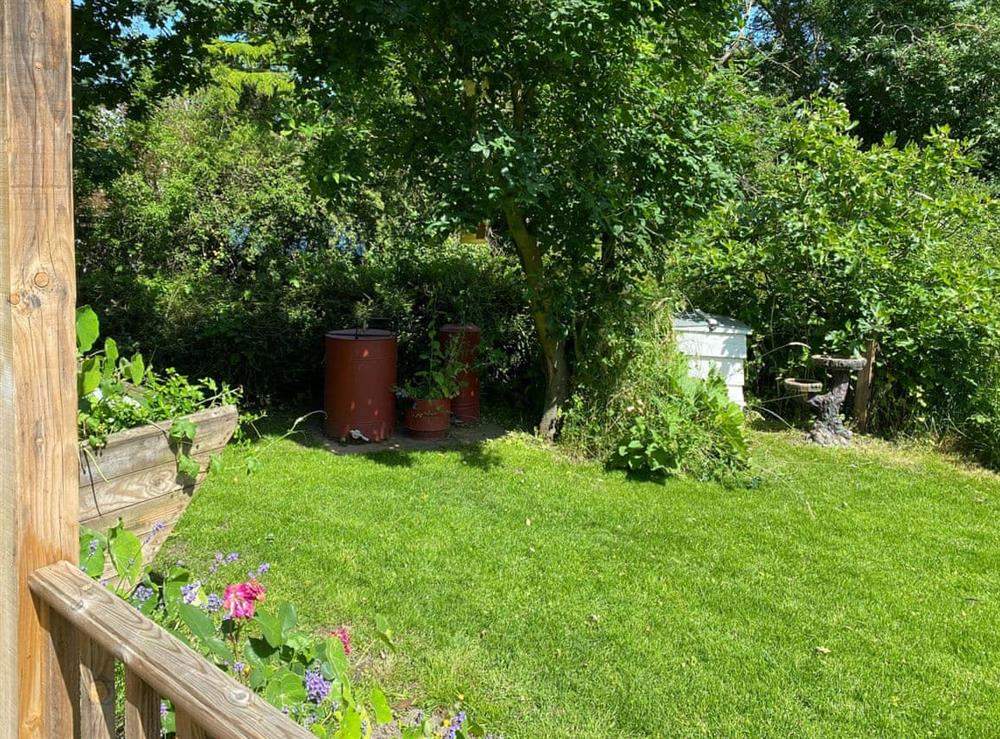 Garden and grounds at Beekeepers  Cabin in Booton, Norfolk