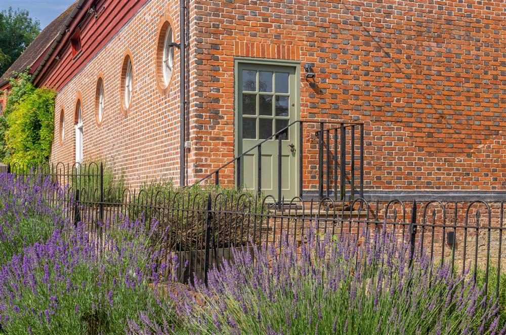 Beautiful lavender border outside Belchamp Hall Hayloft