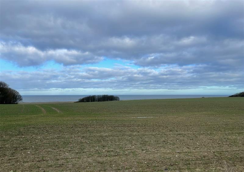 Rural landscape at Belle Vue, Trimingham near Mundesley
