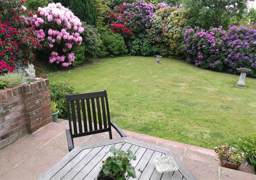 This is the garden at Belmore End in Lymington