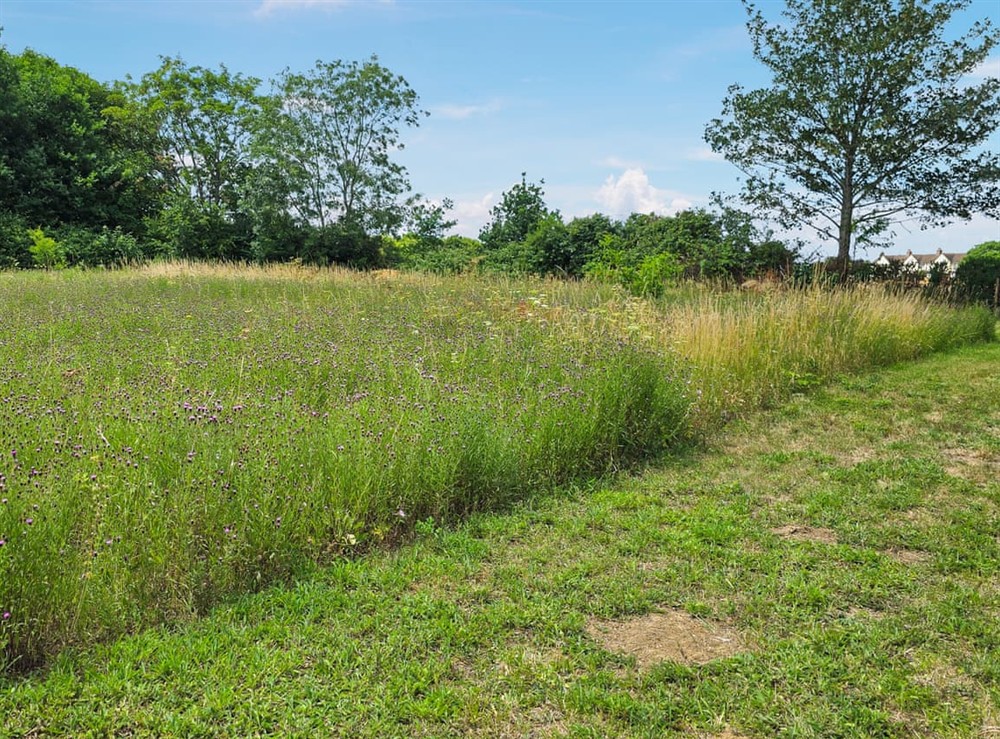 Outdoor (photo 3) at Belt Annexe in Writtle, near Chelmsford, Essex