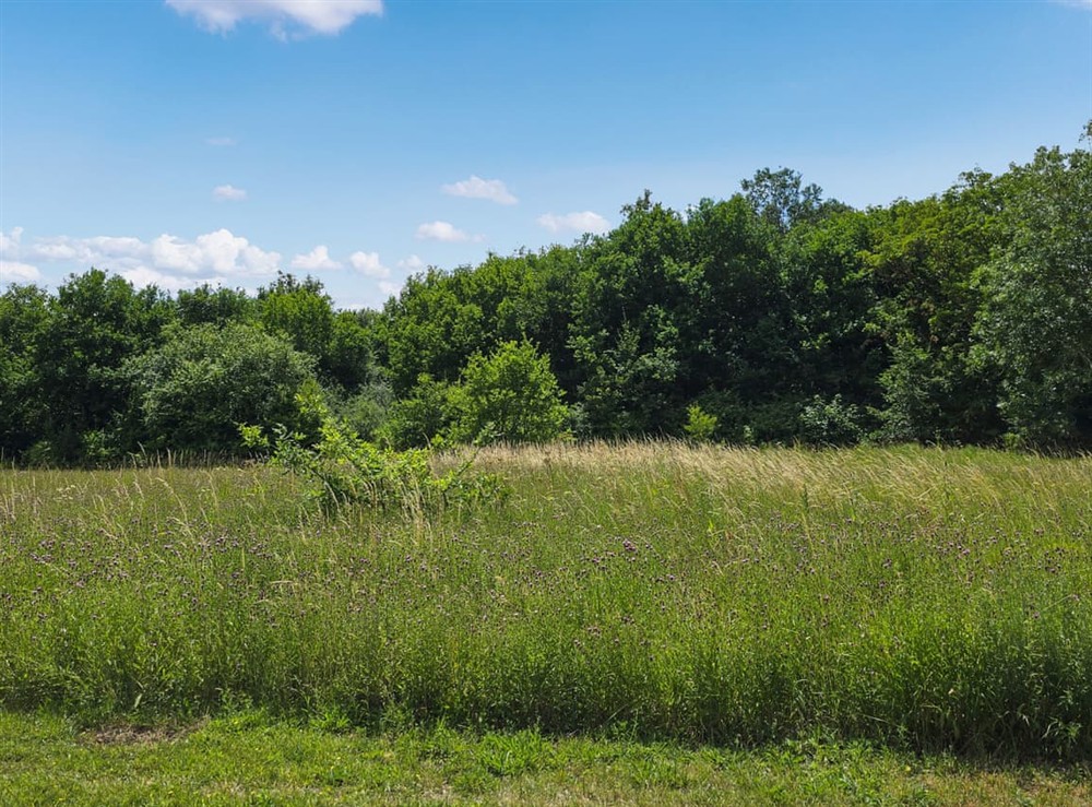 View at Belt Annexe in Writtle, near Chelmsford, Essex