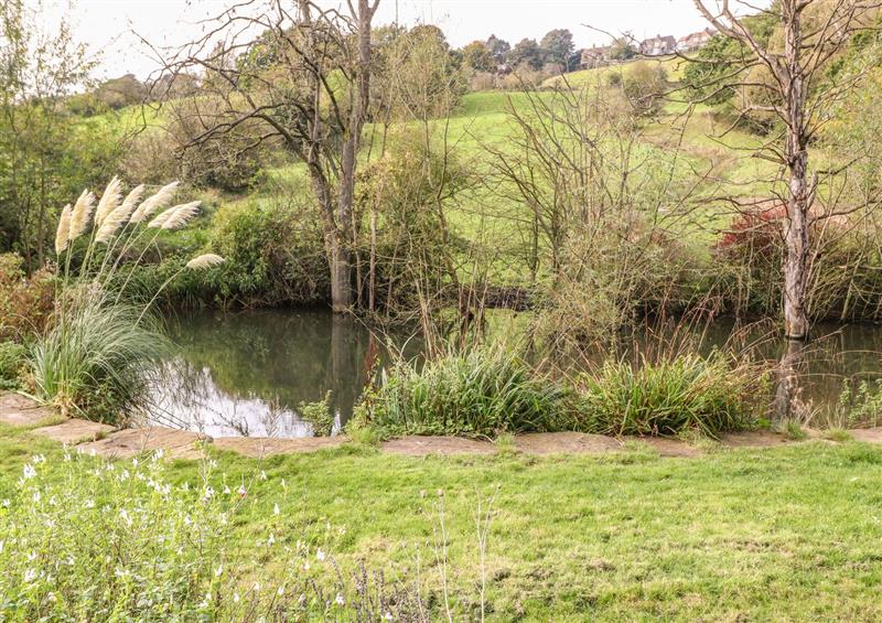 The area around Belvedere Farm