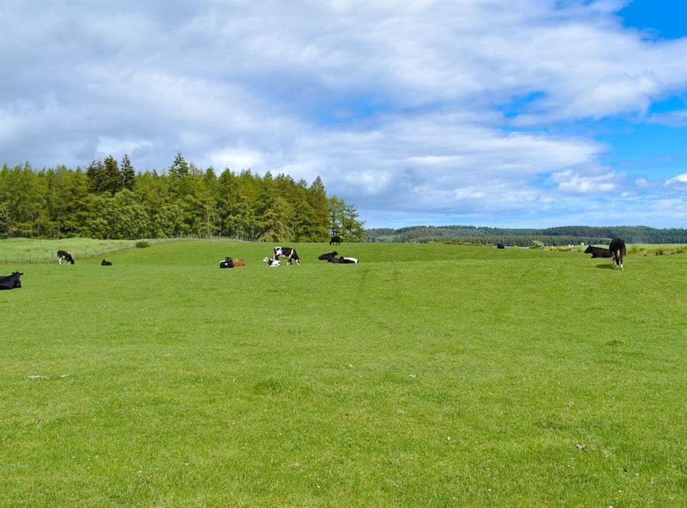 Surrounding countryside views (photo 2) at Ben View in Orbliston, near Elgin, Morayshire
