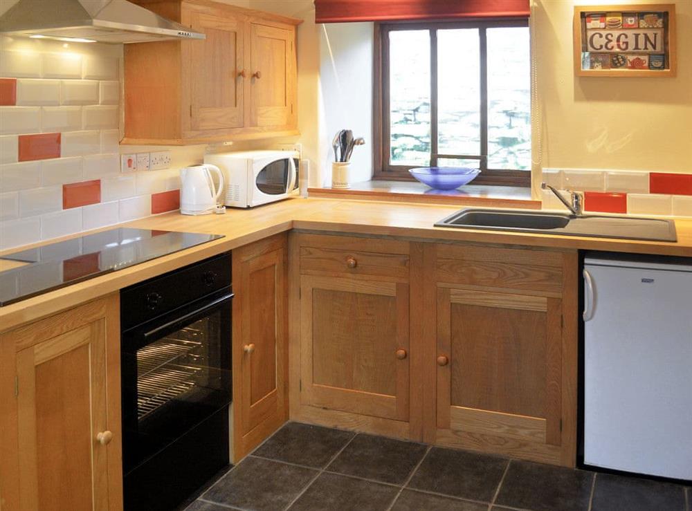 Well equipped kitchen area at Bwthyn Rhosyn, 