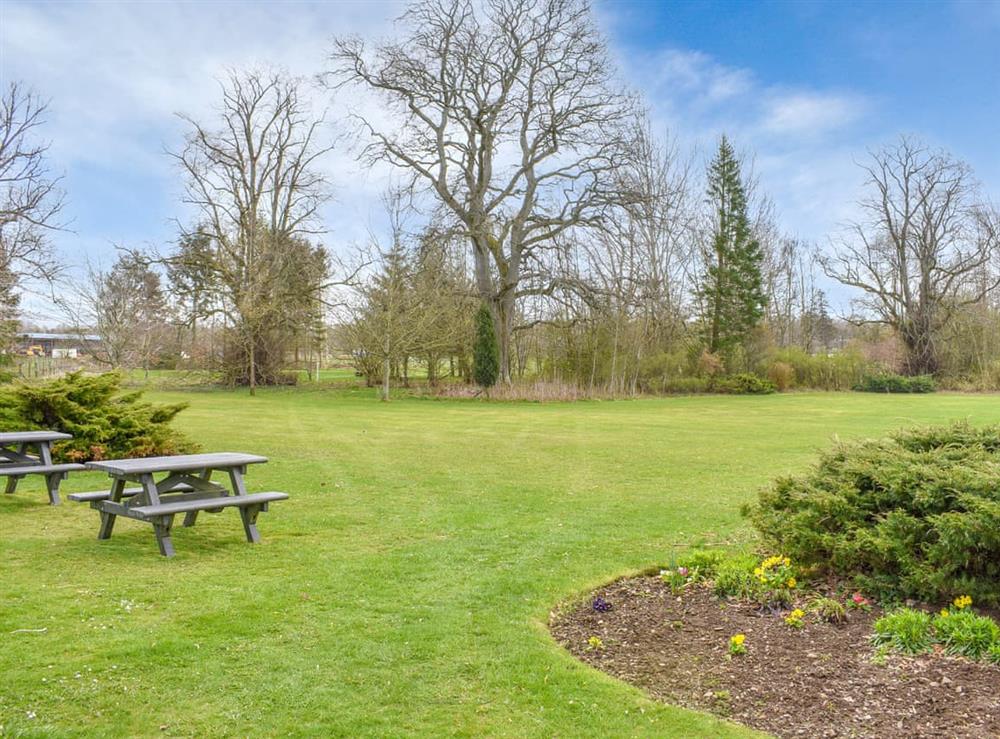 Garden and grounds (photo 3) at Bennachie in Huntly, Aberdeenshire