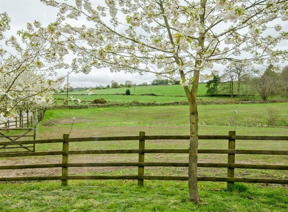 View at Bentleys Barn in Press, near Matlock, Derbyshire