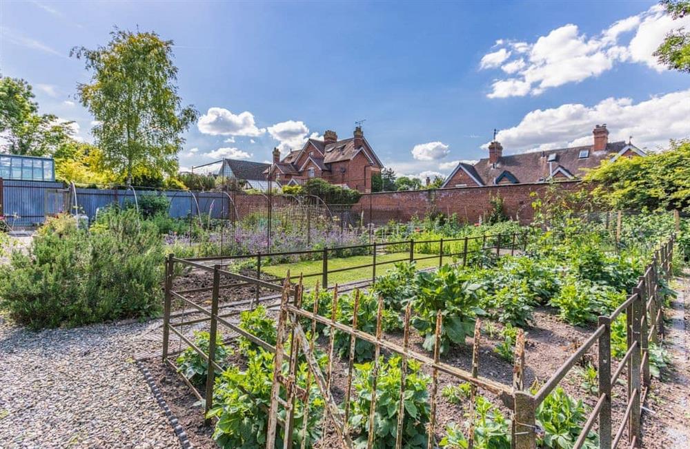 Garden at Berrington East in Tenbury Wells, Worcestershire