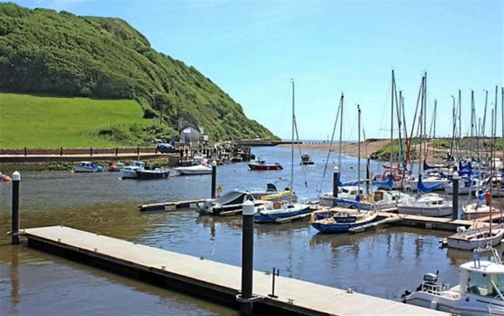 Axmouth harbour is nearby