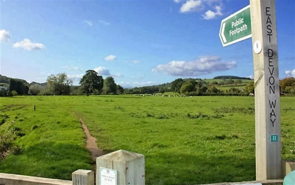 Colyton countryside is an Area of Outstanding Natural Beauty at Berry's Barn in Colyton