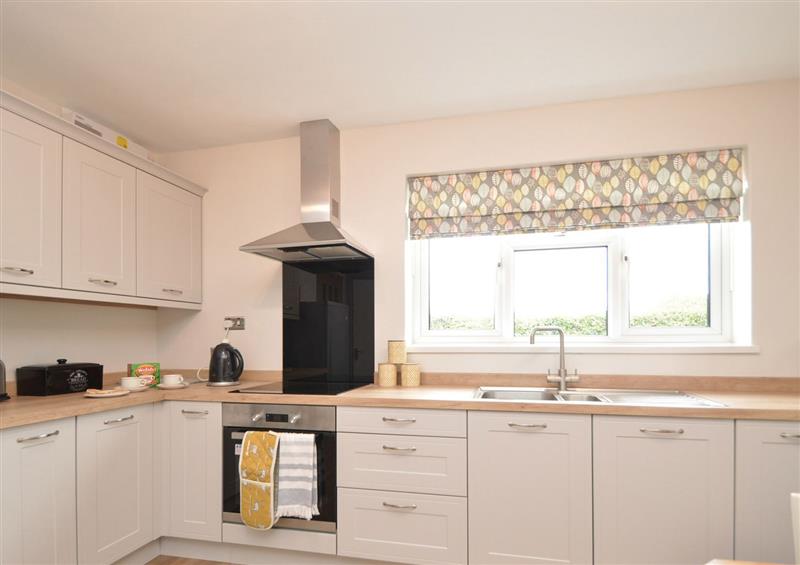 The kitchen (photo 2) at Berwyn View, Trelydan near Welshpool