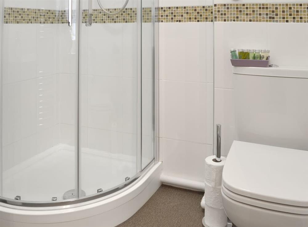 En-suite shower room at Carpenters Cottage, 